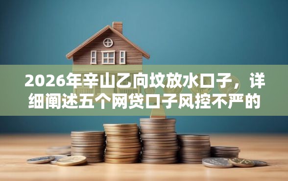 2026年辛山乙向坟放水口子，详细阐述五个网贷口子风控不严的软件