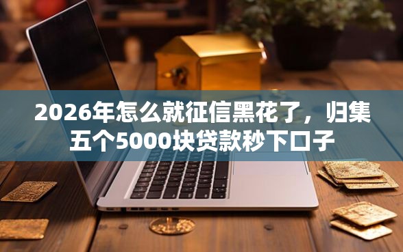2026年怎么就征信黑花了，归集五个5000块贷款秒下口子