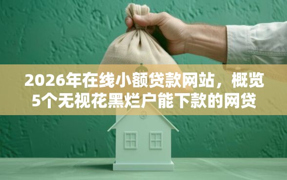 2026年在线小额贷款网站，概览5个无视花黑烂户能下款的网贷