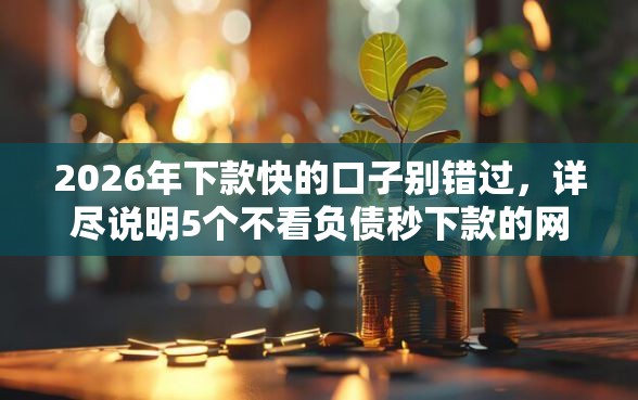 2026年下款快的口子别错过，详尽说明5个不看负债秒下款的网贷平台