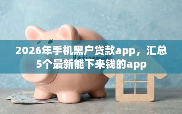 2026年手机黑户贷款app，汇总5个最新能下来钱的app