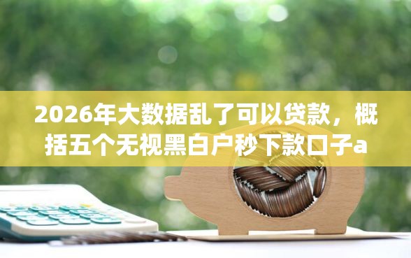 2026年大数据乱了可以贷款，概括五个无视黑白户秒下款口子app