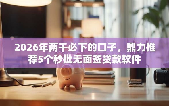 2026年两千必下的口子，鼎力推荐5个秒批无面签贷款软件