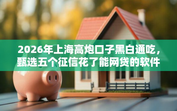 2026年上海高炮口子黑白通吃，甄选五个征信花了能网贷的软件