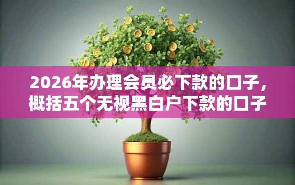 2026年办理会员必下款的口子,概括五个无视黑白户下款的口子 2026年办理会员必下款的口子,概括五个无视黑白户下款的口子