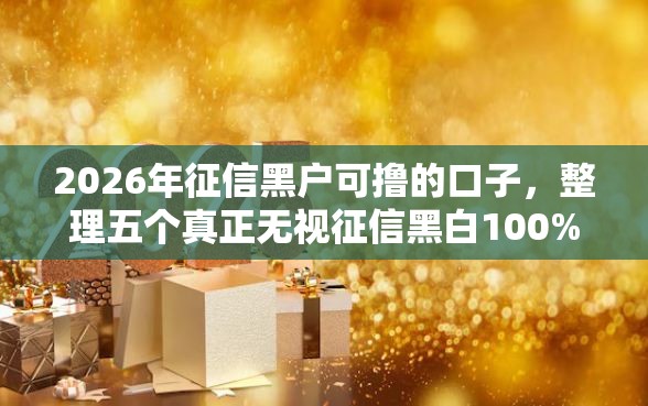 2026年征信黑户可撸的口子，整理五个真正无视征信黑白100%秒下网贷