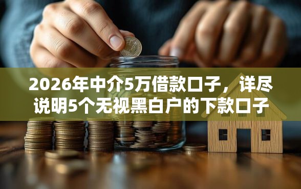 2026年中介5万借款口子，详尽说明5个无视黑白户的下款口子