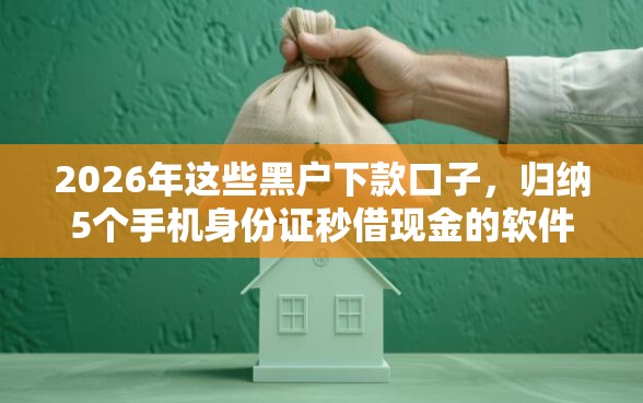 2026年这些黑户下款口子，归纳5个手机身份证秒借现金的软件