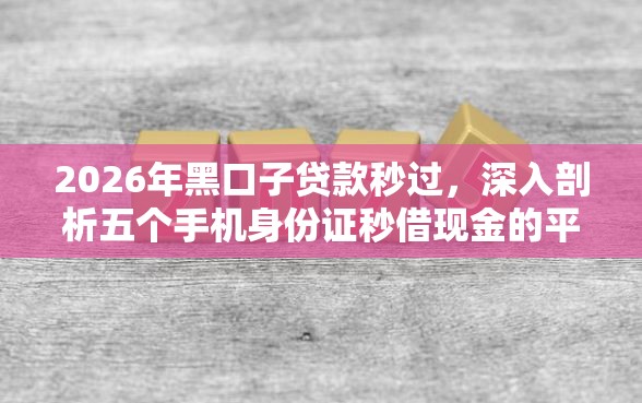 2026年黑口子贷款秒过，深入剖析五个手机身份证秒借现金的平台