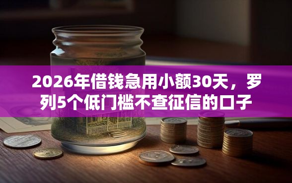 2026年借钱急用小额30天，罗列5个低门槛不查征信的口子