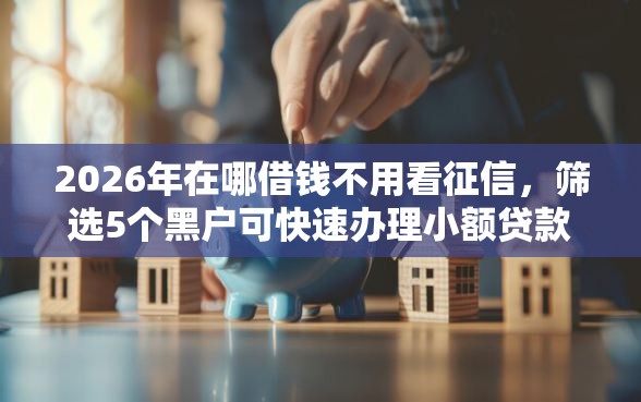 2026年在哪借钱不用看征信，筛选5个黑户可快速办理小额贷款业务的口子