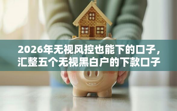 2026年无视风控也能下的口子，汇整五个无视黑白户的下款口子