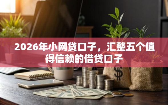2026年小网贷口子，汇整五个值得信赖的借贷口子