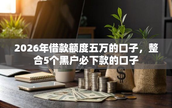 2026年借款额度五万的口子，整合5个黑户必下款的口子