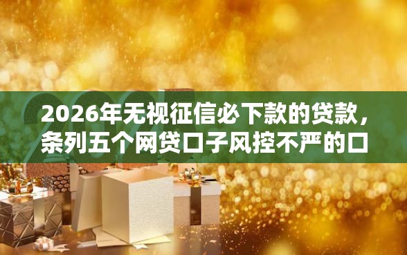 2026年无视征信必下款的贷款，条列五个网贷口子风控不严的口子