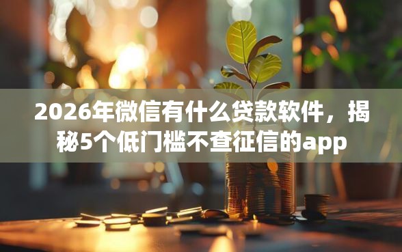 2026年微信有什么贷款软件，揭秘5个低门槛不查征信的app