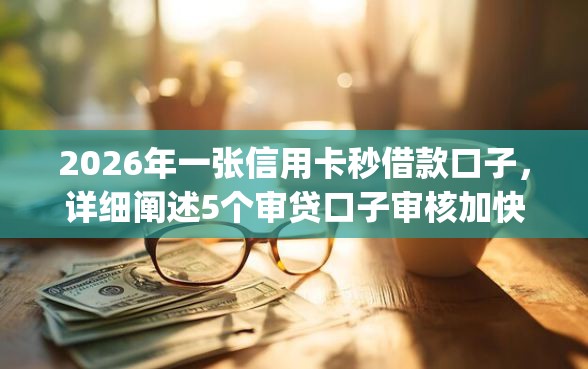 2026年一张信用卡秒借款口子，详细阐述5个审贷口子审核加快的app