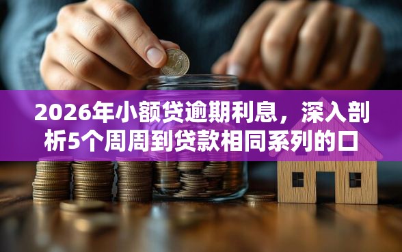 2026年小额贷逾期利息，深入剖析5个周周到贷款相同系列的口子