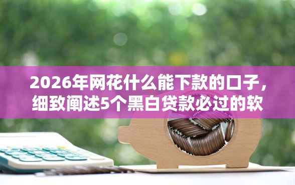 2026年网花什么能下款的口子，细致阐述5个黑白贷款必过的软件
