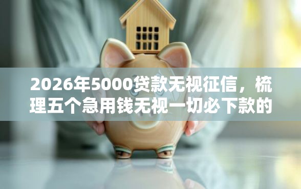2026年5000贷款无视征信，梳理五个急用钱无视一切必下款的口子