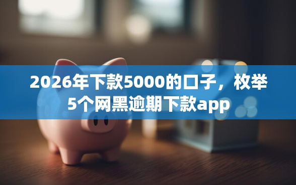 2026年下款5000的口子，枚举5个网黑逾期下款app