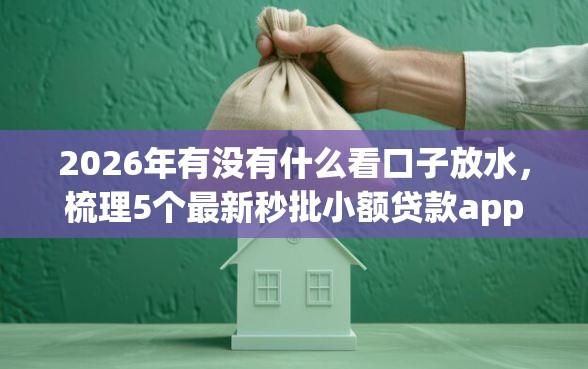 2026年有没有什么看口子放水，梳理5个最新秒批小额贷款app