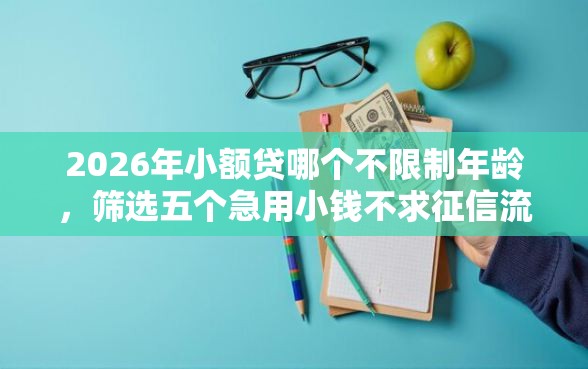 2026年小额贷哪个不限制年龄，筛选五个急用小钱不求征信流水轻松贷的平台