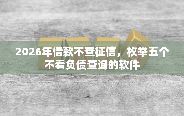 2026年借款不查征信，枚举五个不看负债查询的软件