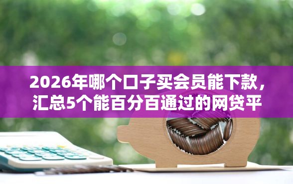2026年哪个口子买会员能下款，汇总5个能百分百通过的网贷平台