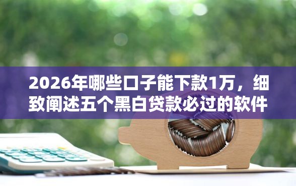 2026年哪些口子能下款1万,细致阐述五个黑白贷款必过的软件 2026年哪些口子能下款1万,细致阐述五个黑白贷款必过的软件