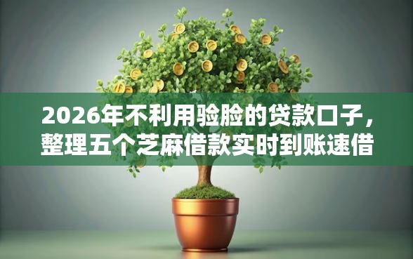 2026年不利用验脸的贷款口子，整理五个芝麻借款实时到账速借平台