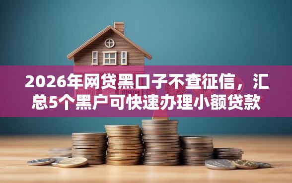 2026年网贷黑口子不查征信，汇总5个黑户可快速办理小额贷款业务的平台