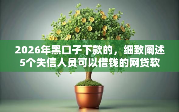 2026年黑口子下款的，细致阐述5个失信人员可以借钱的网贷软件