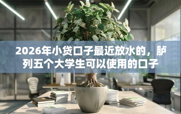 2026年小贷口子最近放水的，胪列五个大学生可以使用的口子