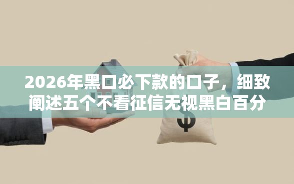 2026年黑口必下款的口子，细致阐述五个不看征信无视黑白百分百下款软件