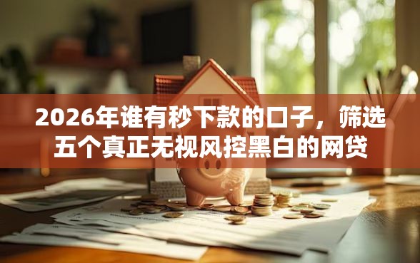 2026年谁有秒下款的口子，筛选五个真正无视风控黑白的网贷