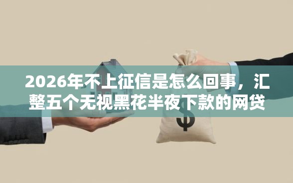 2026年不上征信是怎么回事，汇整五个无视黑花半夜下款的网贷口子