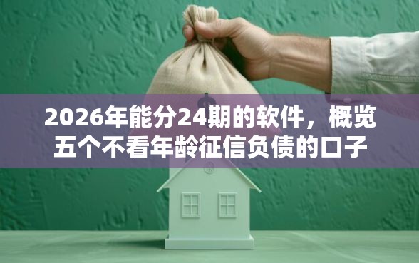 2026年能分24期的软件，概览五个不看年龄征信负债的口子