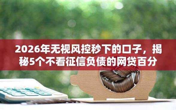 2026年无视风控秒下的口子，揭秘5个不看征信负债的网贷百分百下款平台