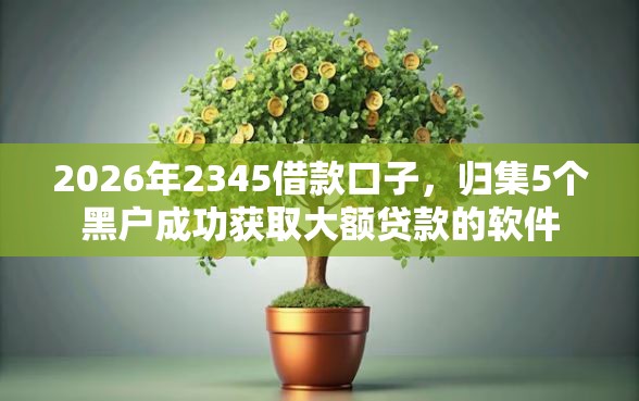 2026年2345借款口子，归集5个黑户成功获取大额贷款的软件
