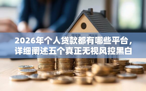 2026年个人贷款都有哪些平台，详细阐述五个真正无视风控黑白的网贷平台