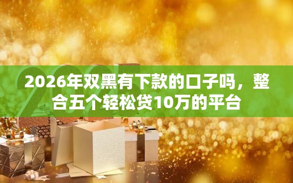 2026年双黑有下款的口子吗，整合五个轻松贷10万的平台