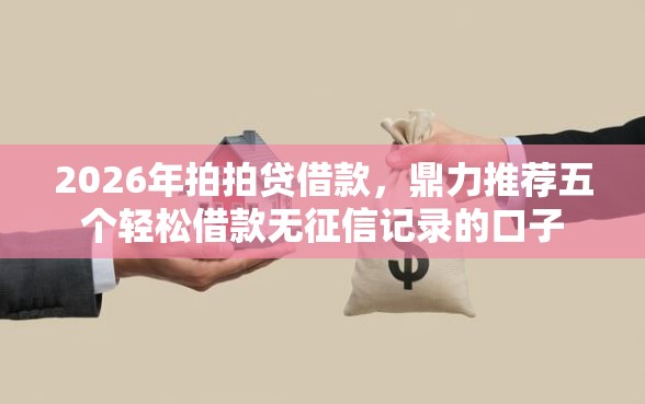 2026年拍拍贷借款，鼎力推荐五个轻松借款无征信记录的口子