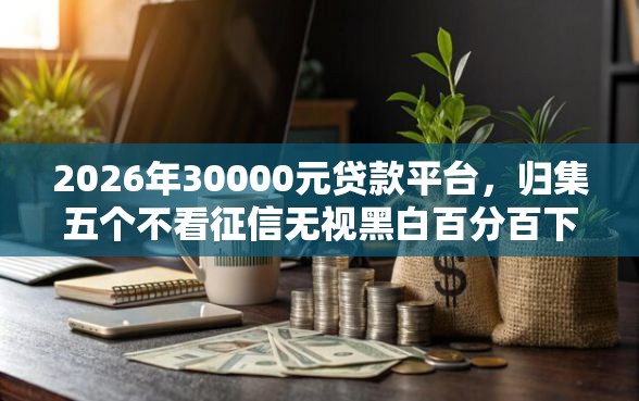 2026年30000元贷款平台，归集五个不看征信无视黑白百分百下款口子