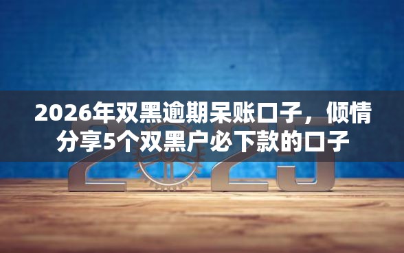 2026年双黑逾期呆账口子，倾情分享5个双黑户必下款的口子