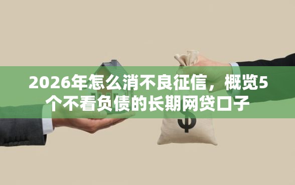 2026年怎么消不良征信，概览5个不看负债的长期网贷口子