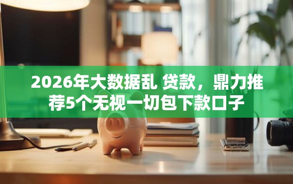 2026年大数据乱 贷款，鼎力推荐5个无视一切包下款口子