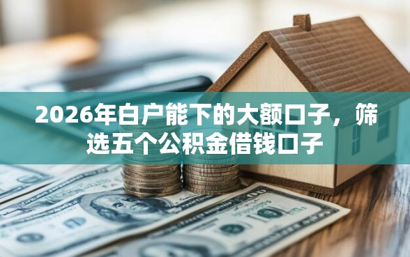 2026年白户能下的大额口子，筛选五个公积金借钱口子