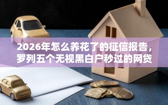 2026年怎么养花了的征信报告，罗列五个无视黑白户秒过的网贷口子