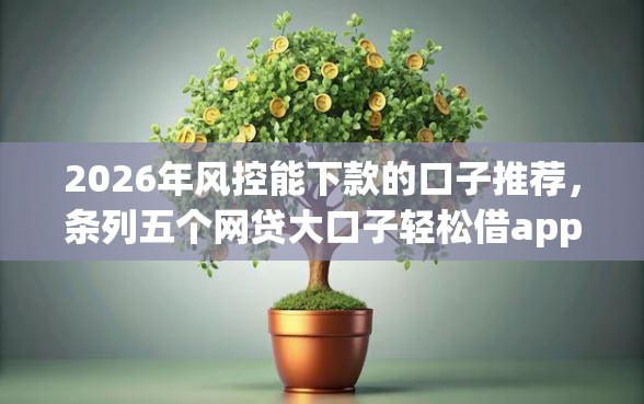 2026年风控能下款的口子推荐，条列五个网贷大口子轻松借app